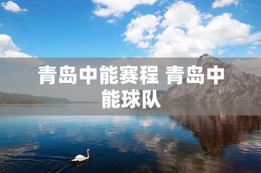 青岛中能赛程 青岛中能球队