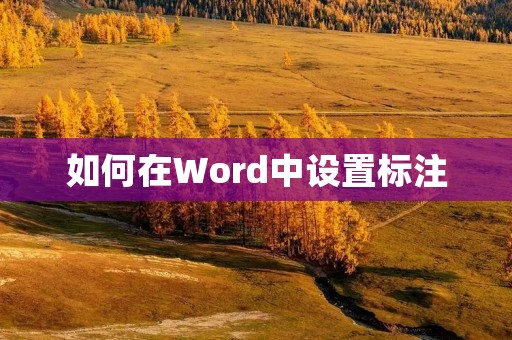 如何在Word中设置标注