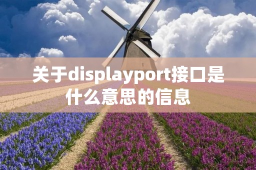 关于displayport接口是什么意思的信息