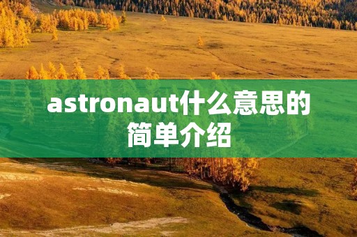 astronaut什么意思的简单介绍