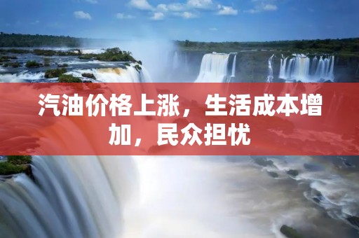 汽油价格上涨，生活成本增加，民众担忧