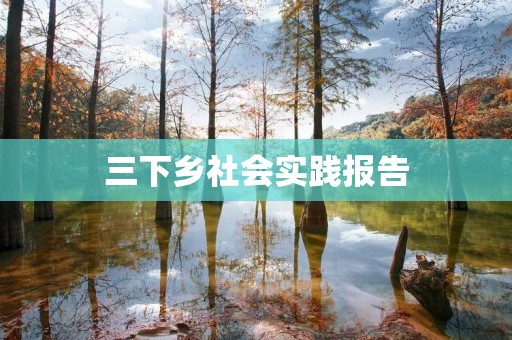 三下乡社会实践报告：探究农村教育现状与未来发展