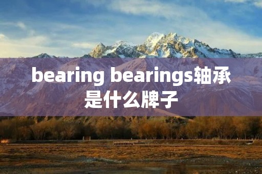 bearing bearings轴承是什么牌子