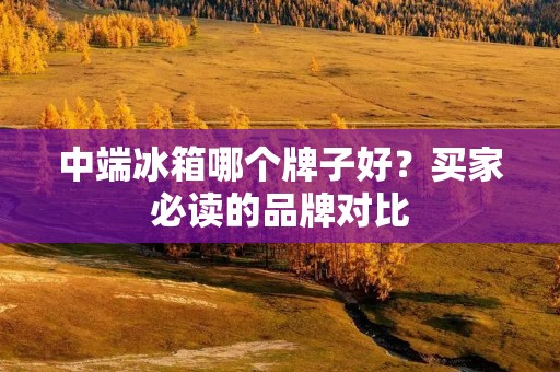 中端冰箱哪个牌子好？买家必读的品牌对比