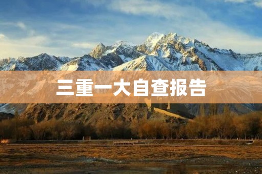 三重一大自查报告：深入排查问题，全面整改提升