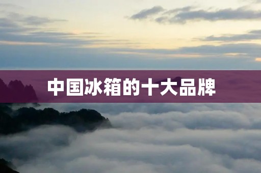 中国冰箱的十大品牌 中国冰箱的十大品牌