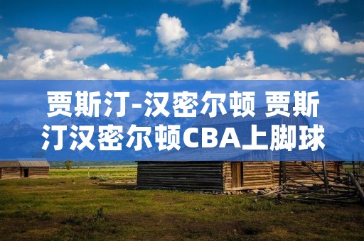 贾斯汀-汉密尔顿 贾斯汀汉密尔顿CBA上脚球鞋