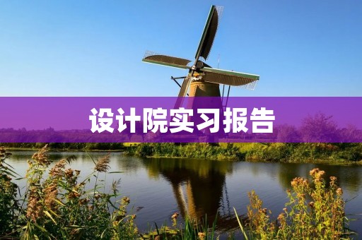 设计院实习报告