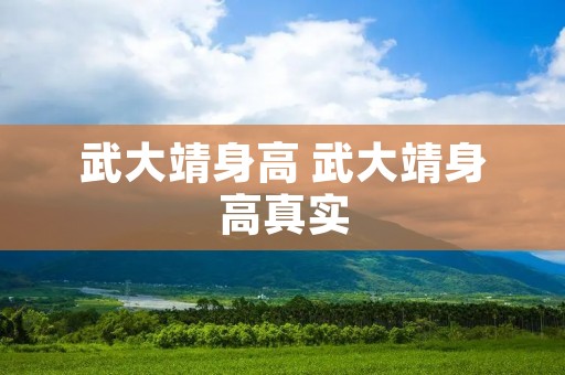 武大靖身高 武大靖身高真实 武大靖身高 武大靖身高真实