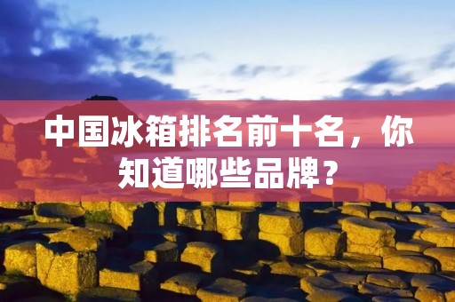 中国冰箱排名前十名，你知道哪些品牌？