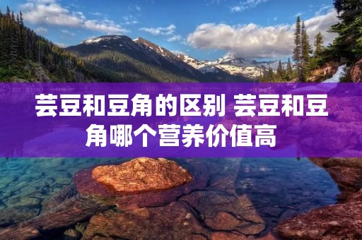 芸豆和豆角的区别 芸豆和豆角哪个营养价值高