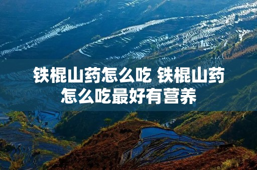 铁棍山药怎么吃 铁棍山药怎么吃最好有营养 铁棍山药怎么吃 铁棍山药怎么吃最好有营养