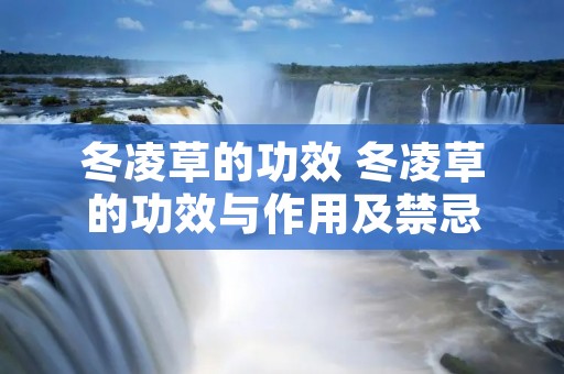 冬凌草的功效 冬凌草的功效与作用及禁忌 冬凌草的功效 冬凌草的功效与作用及禁忌