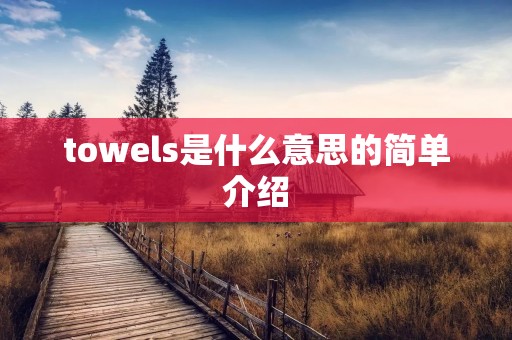 towels是什么意思的简单介绍