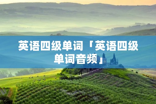 英语四级单词「英语四级单词音频」