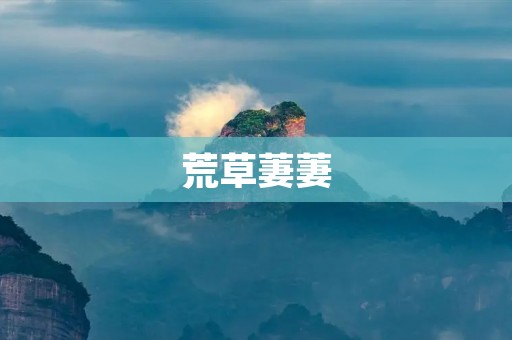 荒草萋萋:寻找被遗忘的美 荒草萋萋:寻找被遗忘的美