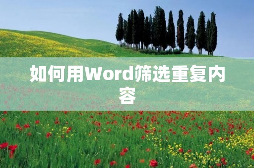 如何用Word筛选重复内容