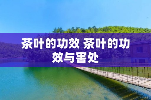 茶叶的功效 茶叶的功效与害处