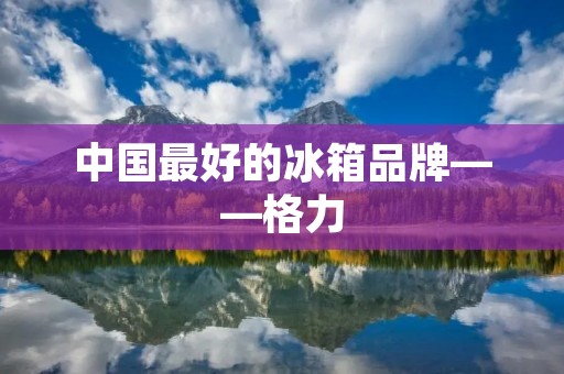 中国最好的冰箱品牌——格力 中国最好的冰箱品牌——格力