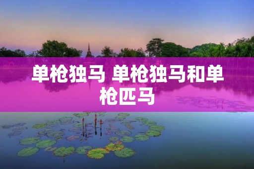 单枪独马 单枪独马和单枪匹马