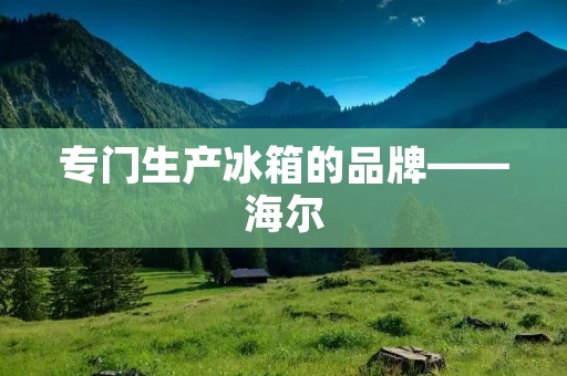 专门生产冰箱的品牌——海尔 专门生产冰箱的品牌——海尔