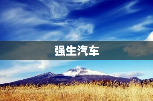强生汽车：以科技创新为驱动的未来之路
