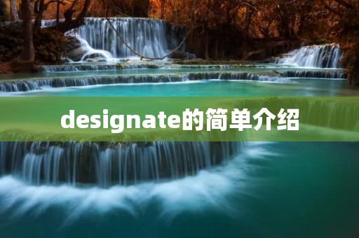 designate的简单介绍