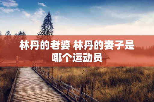 林丹的老婆 林丹的妻子是哪个运动员 林丹的老婆 林丹的妻子是哪个运动员