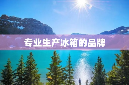 专业生产冰箱的品牌：海尔
