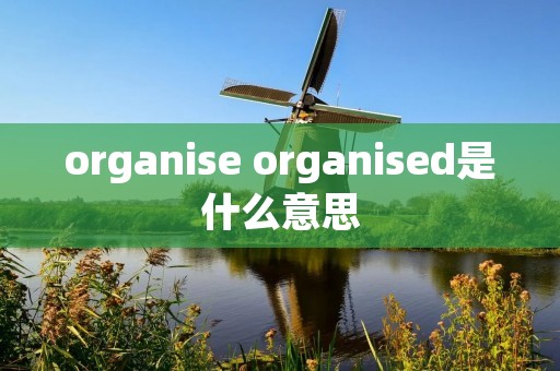 organise organised是什么意思