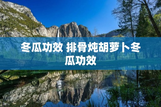 冬瓜功效 排骨炖胡萝卜冬瓜功效 冬瓜功效 排骨炖胡萝卜冬瓜功效
