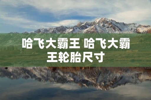 哈飞大霸王 哈飞大霸王轮胎尺寸