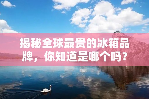 揭秘全球最贵的冰箱品牌，你知道是哪个吗？