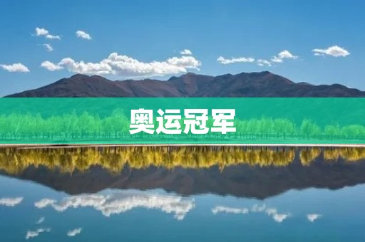 奥运冠军:不仅是荣誉,更是付出和坚持的代价 奥运冠军:不仅是荣誉,更是付出和坚持的代价