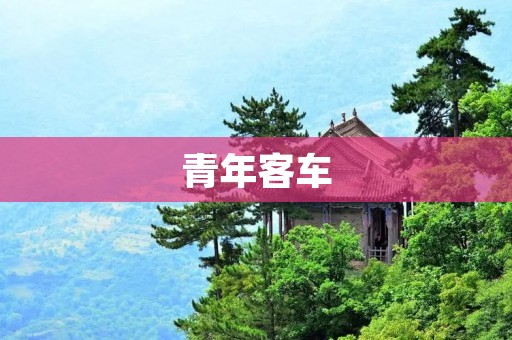 青年客车:让出行更加便利和舒适 青年客车:让出行更加便利和舒适