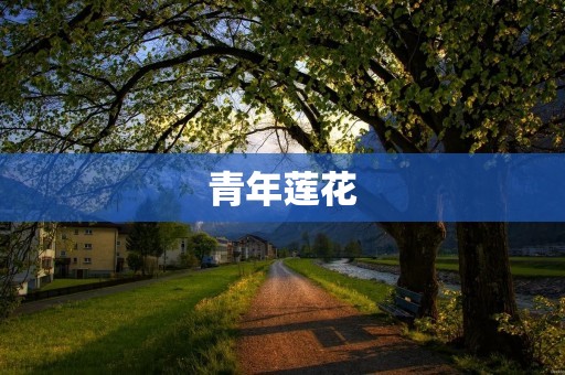 青年莲花:一群年轻人的奋斗和成长 青年莲花:一群年轻人的奋斗和成长