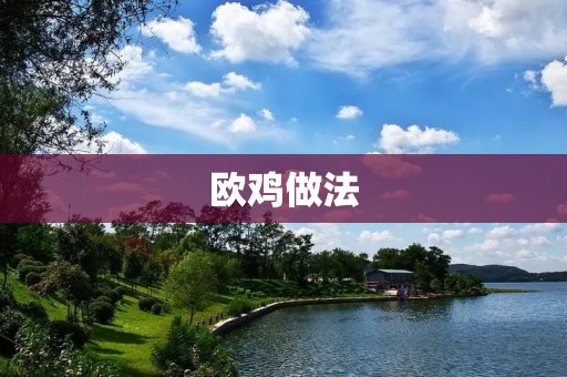 欧鸡做法:让你在家也能轻松享受餐厅级别的美味 欧鸡做法:让你在家也能轻松享受餐厅级别的美味