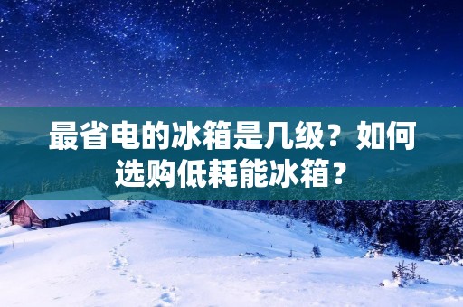 最省电的冰箱是几级?如何选购低耗能冰箱? 最省电的冰箱是几级?如何选购低耗能冰箱?