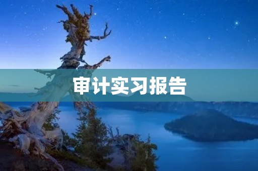 审计实习报告:深入了解企业财务状况