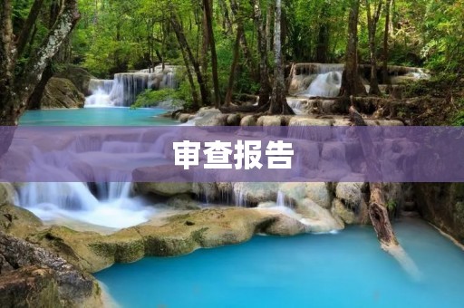 审查报告:揭示企业财务状况的真相