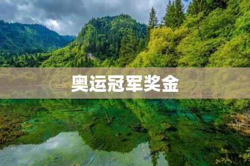奥运冠军奖金：为何高额？实际意义何在？