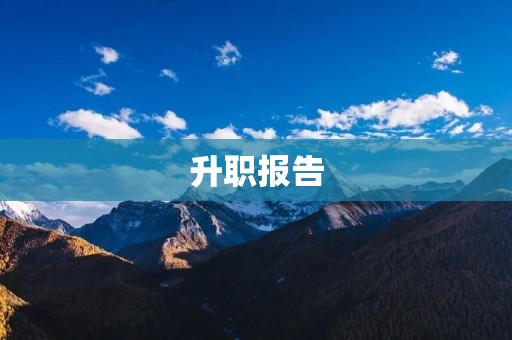升职报告:我的职业生涯规划与实践