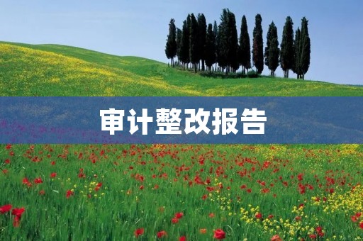审计整改报告:规范企业财务管理的必要性