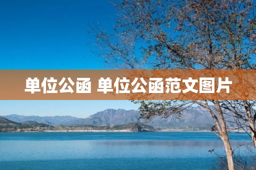 单位公函 单位公函范文图片