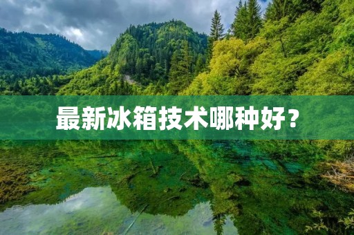 最新冰箱技术哪种好? 最新冰箱技术哪种好?