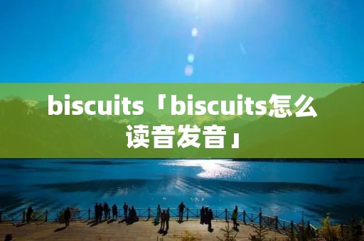biscuits「biscuits怎么读音发音」