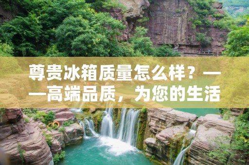 尊贵冰箱质量怎么样？——高端品质，为您的生活品质保驾护航