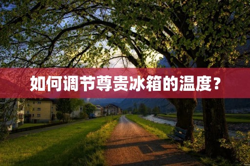 如何调节尊贵冰箱的温度? 如何调节尊贵冰箱的温度?