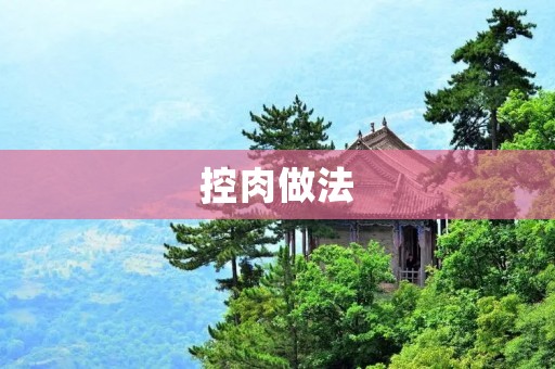控肉做法：让你的肉更美味