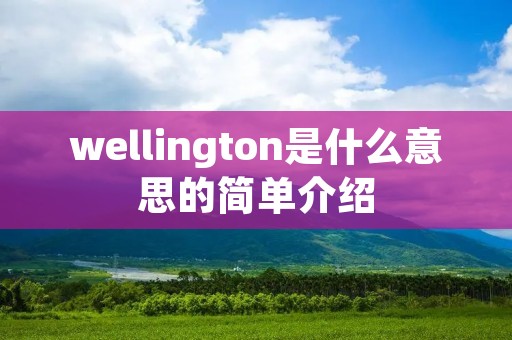 wellington是什么意思的简单介绍